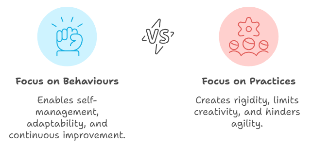 Beyond Practices: Behaviours and Goals in&nbsp;Agile